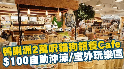 鴨脷洲2萬呎貓狗領養Cafe $100自助沖涼/室外玩樂區