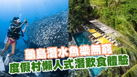 龜島潛水魚樂無窮 度假村懶人式潛歎食體驗