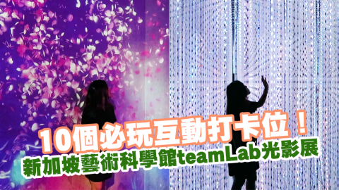 新加坡藝術科學館teamLab光影展 10個必玩互動打卡位！