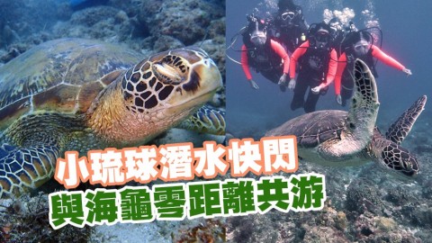 小琉球潛水快閃！ 與海龜零距離共游