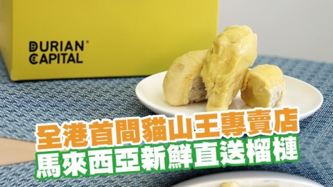 全港首間貓山王專賣店「Durian Capital」　試食馬來西亞新鮮直送盒裝榴槤