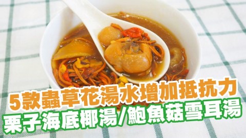 5款蟲草花湯水食譜增加抵抗力＋對抗鼻敏感 栗子海底椰湯／鮑魚菇雪耳湯／蟲草花雞湯／螺頭湯