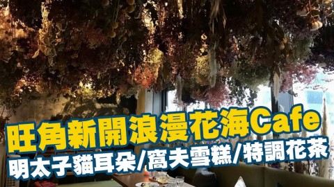 【旺角美食】旺角新開浪漫花海Cafe 明太子貓耳朵/窩夫雪糕/自家特調有機花茶