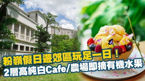 【香港周圍遊】粉嶺假日遊郊區玩足一日！2層高純白Cafe/農場即摘有機水果