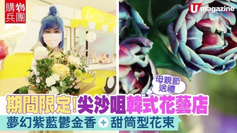 【購物兵團】夢幻紫藍鬱金香好靚！