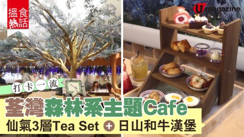 【搵食熱話】打卡一流！荃灣森林系主題Cafe  仙氣3層Tea Set+日山和牛漢堡