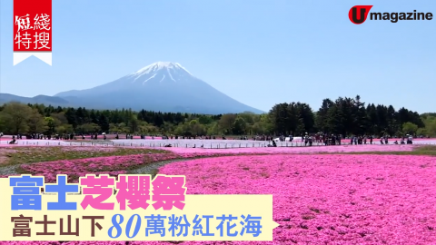 【短線特搜】絕景！富士芝櫻祭 富士山下80萬粉紅花海