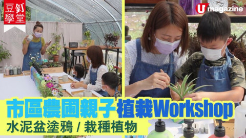 【豆釘學堂】市區農圃親子植栽workshop　水泥盆塗鴉/栽種植物