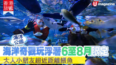 【香港放遊】期間限定！海洋公園玩浮潛