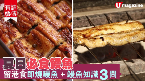 【有請師傅】夏日必食鰻魚 留港食即燒鰻魚、鰻魚知識3問