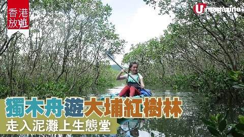 【香港放遊】獨木舟遊大埔紅樹林 走入泥灘上生態堂