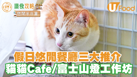 【香港室內假日好去處2021】推介香港3間打卡悠閒Cafe 有得食有得玩消磨時間！　貓貓Cafe／DIY富士山燈工作坊／花店咖啡店