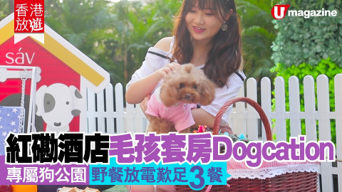 【香港放遊】紅磡酒店毛孩套房Dogcation 專屬狗公園野餐放電歎足3餐