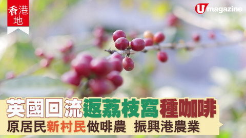 【香港地】喺英國唔憂米，但年過六十嘅群英姐竟然返嚟做農夫？！