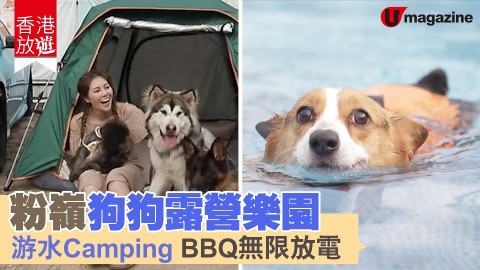 【香港放遊】粉嶺毛孩露營樂園 無限放電！游水Camping BBQ