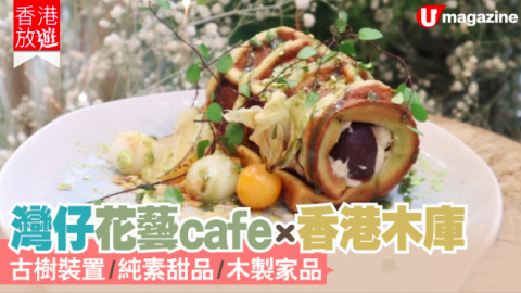 【香港放遊】灣仔花藝cafe X 香港木庫  百年古樹裝置/純素甜品/木製家品