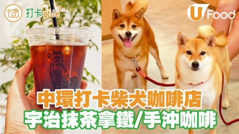 中環新開柴犬咖啡店Black Sugar Coffee 　文青風手沖咖啡＋偶遇柴犬店長！