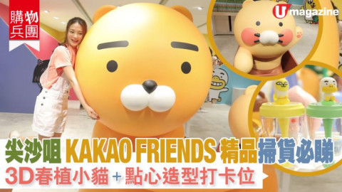 【購物兵團】KAKAO FRIENDS 粉絲打卡兼掃貨!