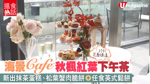 【搵食熱話】海景+花藝隧道打卡Cafe 秋楓紅葉下午茶