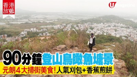 【香港放遊】90分鐘登山鳥瞰魚塘景 元朗4大掃街美食！人氣刈包、香蕉  煎餅