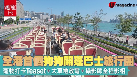 【寵寵地】全港首個狗狗開篷巴士旅行團 寵物打卡Tea set、大草地放電  、攝影師全程影相