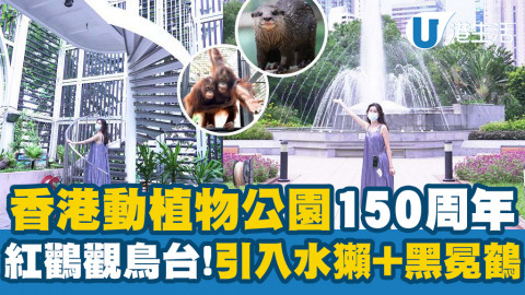 【中環好去處】香港動植物公園150周年活動開鑼！新駐園水獺+黑冕鶴/萬聖節打卡位