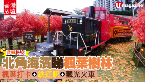 【香港放遊】北角海濱睇楓葉樹林  楓葉打卡+鉄道駅+觀光火車