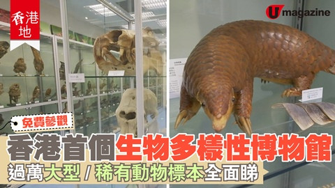 【香港地】免費參觀 香港首個生物多樣性博物館 過萬大型/稀有動物標本全面睇