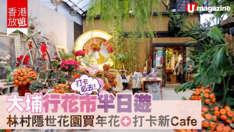 【香港放遊】大埔行花市半日遊  林村隱世花園買年花+打卡新Cafe