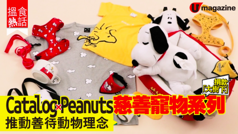 【購物兵團】Catalog x Peanuts 慈善寵物系列    推動善待動物理念！