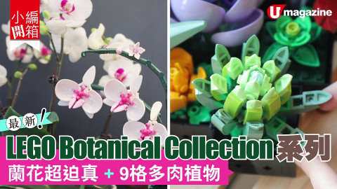 【小編開箱】最新 LEGO®️ Botanical Collection 登場！