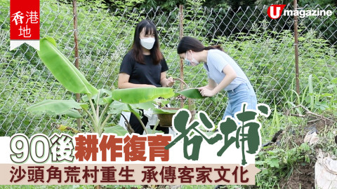 【香港地】90後耕作復育谷埔  沙頭角荒村重生 承傳客家文化