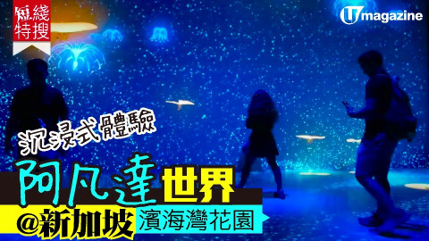 【短線特搜】沉浸式體驗阿凡達世界@新加坡濱海灣花園