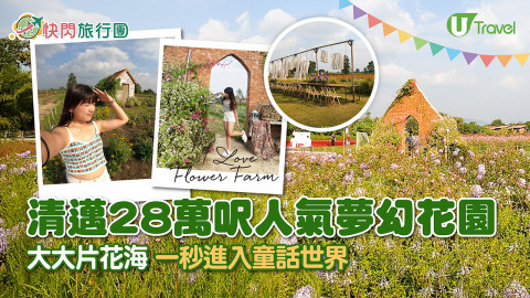 【快閃旅行團】清邁28萬呎人氣夢幻花園I Love Flower Farm 大大片花海任打卡 一秒進入童話世界