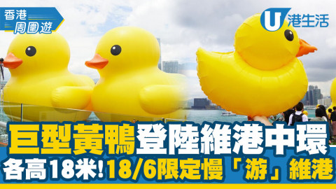 【香港周圍遊】巨型黃鴨正式啟航登陸維港中環！各高18米+父親節18/6限定慢「游」維港