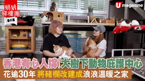 【蝸居睇樓團】香港有心人撐！大樹下動物庇護中心  花逾30年將豬欄改建成浪浪溫暖之家