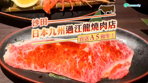 【沙田美食】日本九州過江龍燒肉店