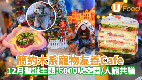 元朗簡約式寵物友善Cafe｜12月限定聖誕主題！6000呎空間／人寵共膳