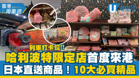 【今期Chill抵】哈利波特精品店首度來港！日本直送Harry Potter商品！必買限定盲盒/魔杖/4大學院精品